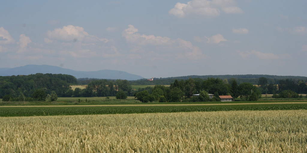 Gommersdorf Gommersdorf