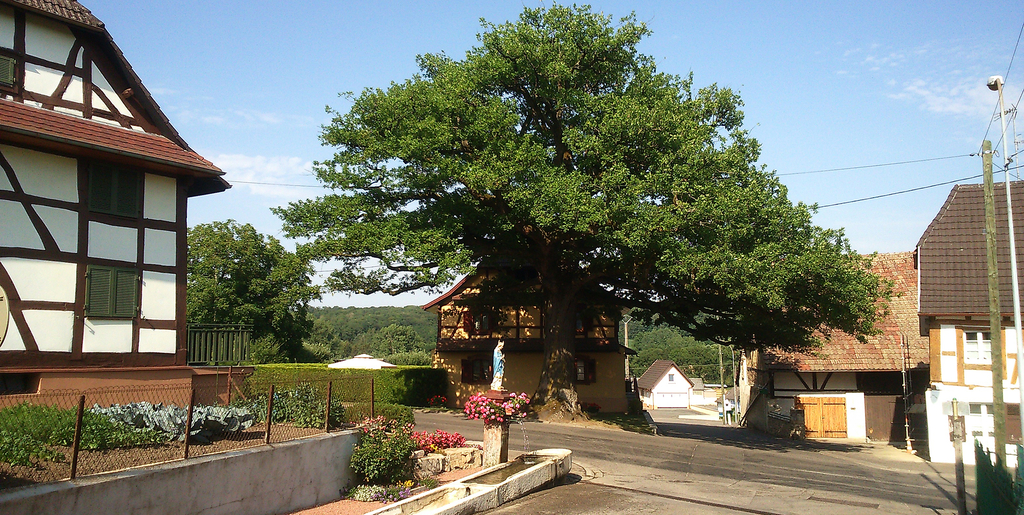 Saint-Ulrich Saint-Ulrich